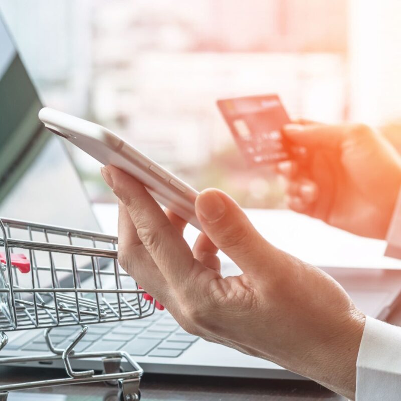 E COMMERCE 800X800 | FA LOGISTICS Profitez de nos services de transports pour votre domaine d’activité Ostwald 2